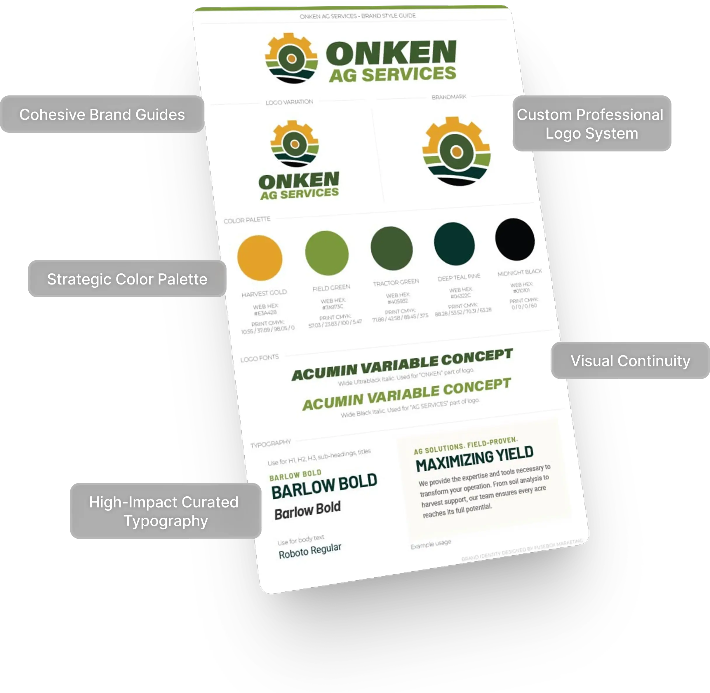 Graphic Design & Brand Identity