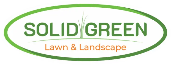 Solid Green Lawn & Landscape